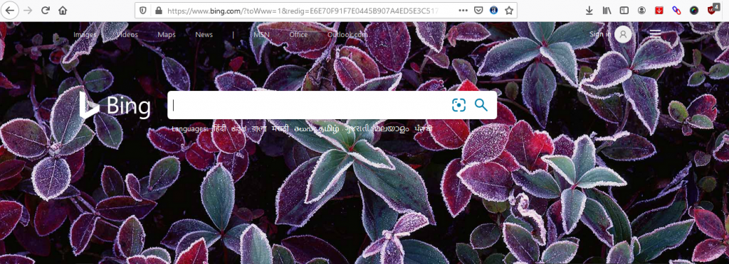Bing - The 2nd Most Popular Search Engine