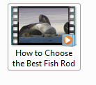 How to Choose the Best Fish Rod