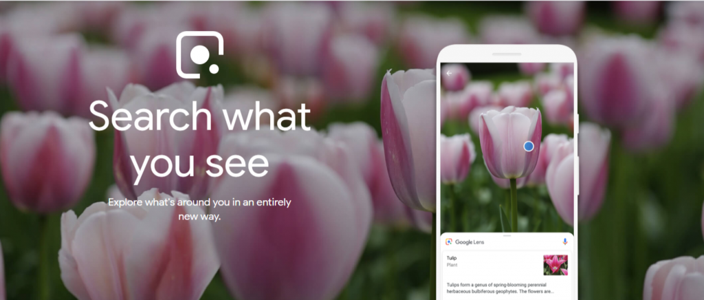 google lens