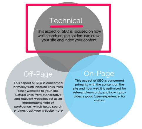 types of seo