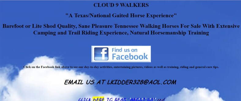Cloud9 Walkers - The worst example of a website at #37
