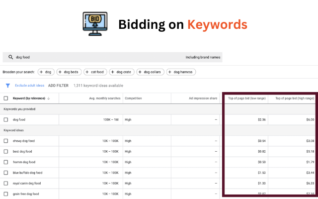 Keyword Bidding for plastic surgeons