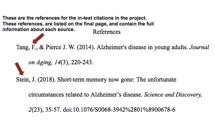 APA Format Citations