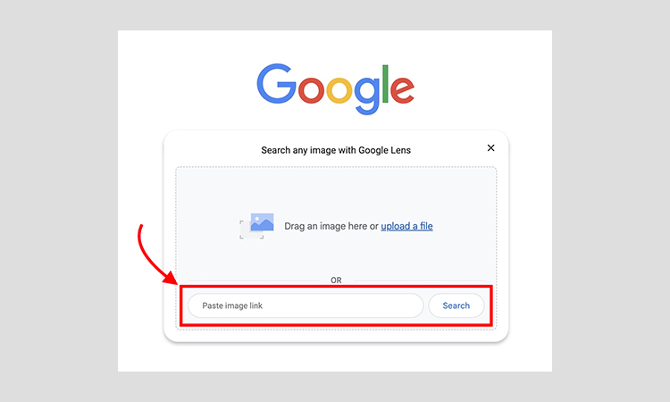 Best Alternatives To Google Reverse Image Searchimpro