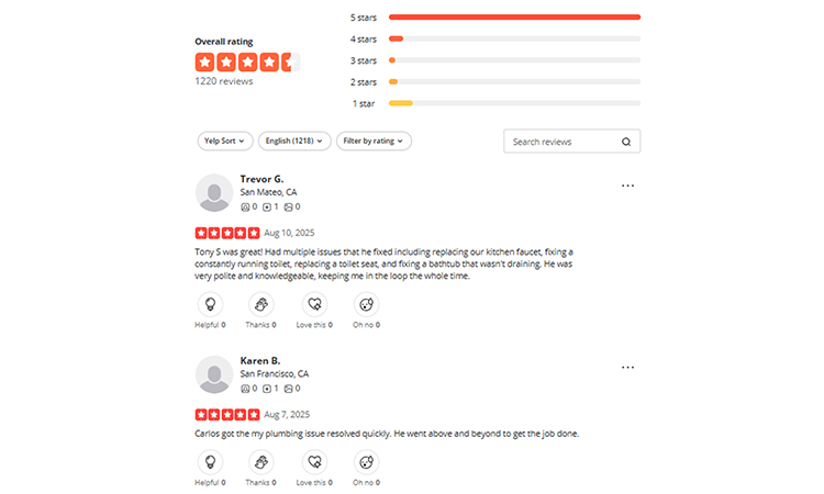 Customer Reviews With Stars 