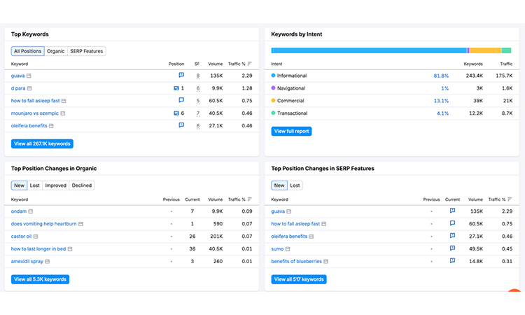 Top Keywords Competitor ranks for 