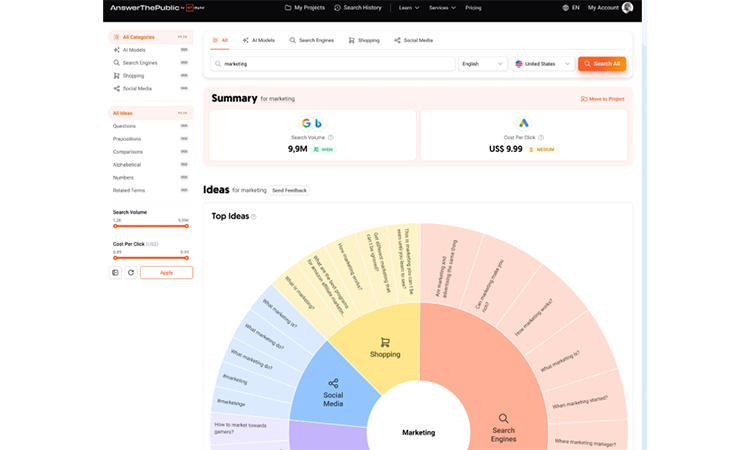 answer the public summary 